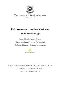 Risk Assessment Based on Maximum Allowable Damage