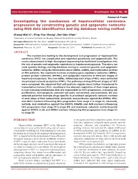 Investigating the Mechanism of Hepatocellular Carcinoma Progression by Constructing Genetic and Epigenetic Networks Using NGS Data Identification and Big Database Mining Method