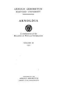 Open As a Single Document