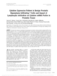 Cytokine Expression Pattern in Benign Prostatic Hyperplasia Infiltrating T