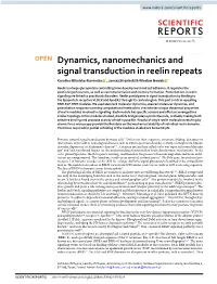 Dynamics, Nanomechanics and Signal Transduction in Reelin Repeats Karolina Mikulska-Ruminska *, Janusz Strzelecki & Wieslaw Nowak *