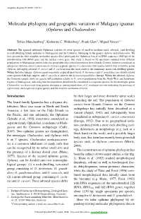 Molecular Phylogeny and Geographic Variation of Malagasy Iguanas (Oplurus and Chalarodon)