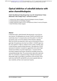 Optical Inhibition of Zebrafish Behavior with Anion Channelrhodopsins