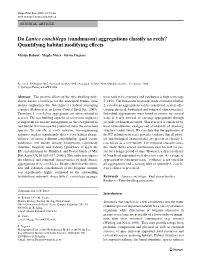 Do Lanice Conchilega (Sandmason) Aggregations Classify As Reefs? Quantifying Habitat Modifying Evects