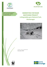 Marketing for Bear Watching Project
