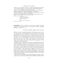 Nigel Duffield, Particles and Projections in Irish Syntax