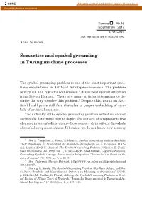 Semantics and Symbol Grounding in Turing Machine Processes