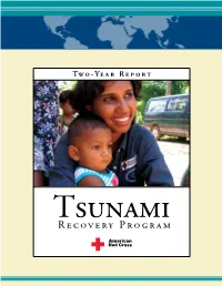 Tsunami Recovery Program Two-Year Report
