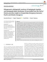 Mitogenomic Phylogenetic Analyses of Leptogorgia Virgulata And