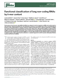 Functional Classification of Long Non-Coding Rnas by K-Mer Content