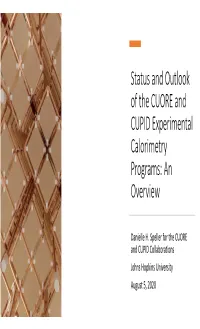 Status and Outlook of the CUORE and CUPID Experimental Calorimetry Programs: an Overview