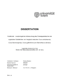 Dissertation