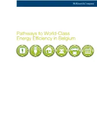 Pathways to World-Class Energy Efficiency in Belgium Mckinsey & Company Takes Sole Responsibility for the Final Content of This Report, Unless Otherwise Cited