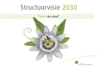 Structuurvisie 2030