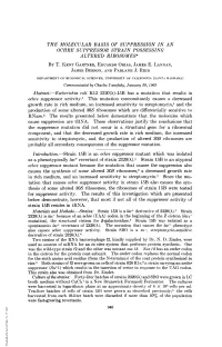 The Molecular Basis of Suppression in an Ochre Suppressor Strain Possessing Altered Ribosomes* by T