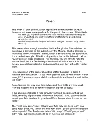 This Week's Torah Portion, Emor, Repeats The