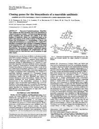 Cloning Genes for the Biosynthesis of a Macrolide Antibiotic (Amplifiable Unit of DNA/Bacteriophage X Charon 4/Recombinant DNA/Synthetic Oligonucleotides/Tylosin) S