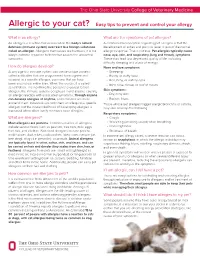 Allergic to Your Cat? Easy Tips to Prevent and Control Your Allergy