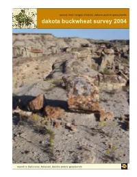 Eriogonum Visheri Status Survey