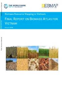 Final Report on Biomass Atlas for Vietnam