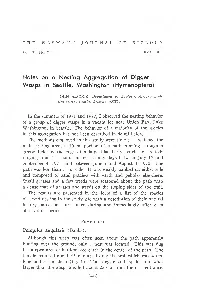 Notes on a Nesting Aggregation of Digger Wasps in Seattle, Washington (Hymenoptera)