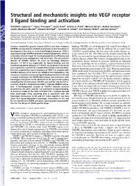 Structural and Mechanistic Insights Into VEGF Receptor 3 Ligand Binding and Activation