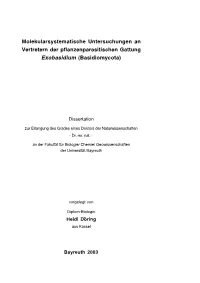Dissertation, Bayreuth 2003