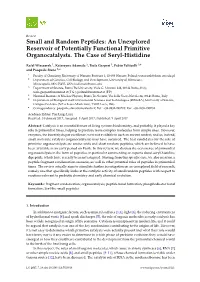 Small and Random Peptides: an Unexplored Reservoir of Potentially Functional Primitive Organocatalysts