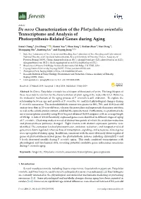 De Novo Characterization of the Platycladus Orientalis Transcriptome and Analysis of Photosynthesis-Related Genes During Aging