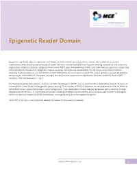 Epigenetic Reader Domain