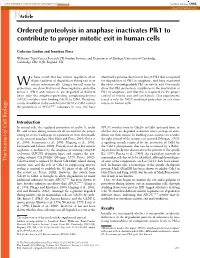 Ordered Proteolysis in Anaphase Inactivates Plk1 To