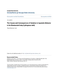 The Causes and Consequences of Variation in Agonistic Behavior in the Bluebanded Goby (Lythrypnus Dalli)