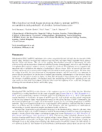 Mitochondrial Network Fragmentation Modulates Mutant Mtdna Accumulation Independently of Absolute Fission-Fusion Rates