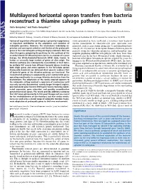 Multilayered Horizontal Operon Transfers from Bacteria Reconstruct a Thiamine Salvage Pathway in Yeasts