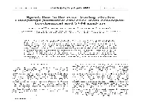 Speciation in the Coral-Boring Bivalve Lithophaga Purpurea: Evidence from Ecological, Biochemical and SEM Analysis