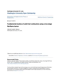 Fundamental Studies of Solid-Fuel Combustion Using a Two-Stage Flat-Flame Burner