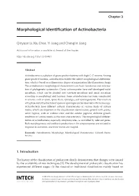 Morphological Identification of Actinobacteria
