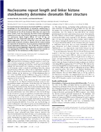 Nucleosome Repeat Length and Linker Histone Stoichiometry Determine Chromatin Fiber Structure
