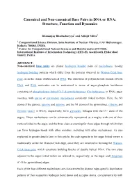 Canonical and Non-Canonical Base Pairs in DNA Or RNA: Structure, Function and Dynamics