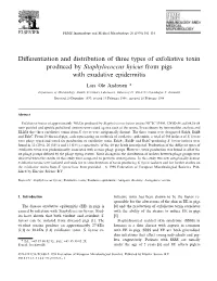 Differentiation and Distribution of Three Types of Exfoliative Toxin Produced