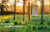 The Early Days of Spring at Morton Hall In