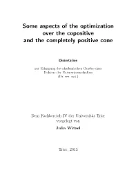 Some Aspects of the Optimization Over the Copositive and the Completely Positive Cone