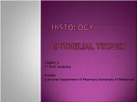 Squamous Epithelium Are Thin, Which Allows for the Rapid Passage of Substances Through Them