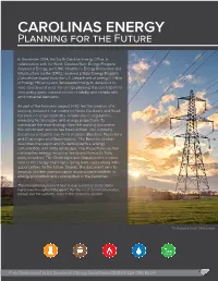 Carolinas Energy Planning for the Future Summary Report