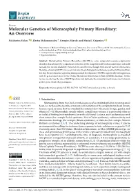 Molecular Genetics of Microcephaly Primary Hereditary: an Overview