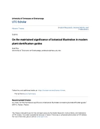 On the Maintained Significance of Botanical Illustration in Modern Plant Identification Guides