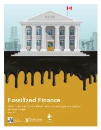 Fossilized Finance