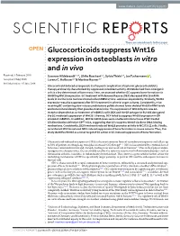 Glucocorticoids Suppress Wnt16 Expression in Osteoblasts in Vitro