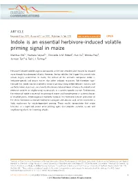Indole Is an Essential Herbivore-Induced Volatile Priming Signal in Maize