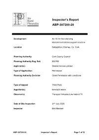 Inspector's Report ABP-307200-20